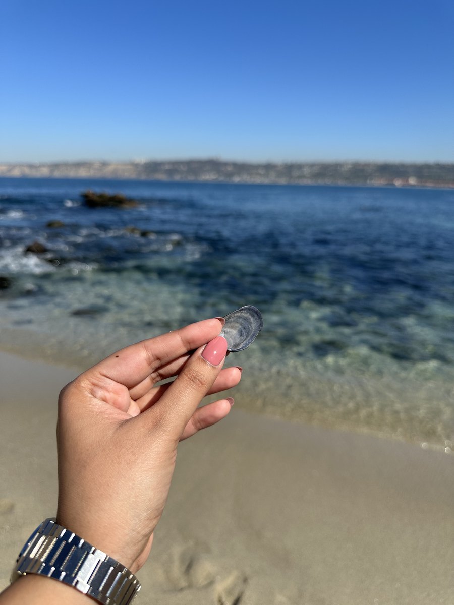 A hand holding a small seashell in front of a clear blue ocean